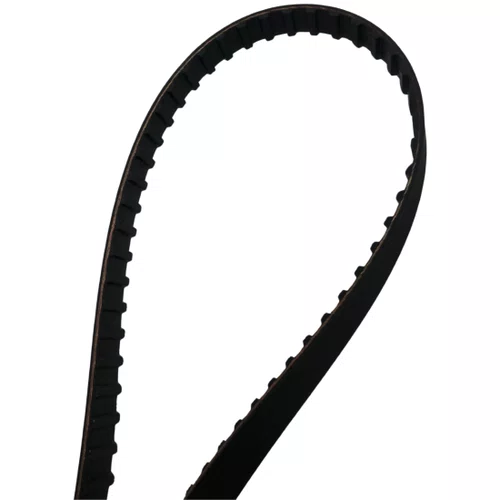 CORREIA DENTADA