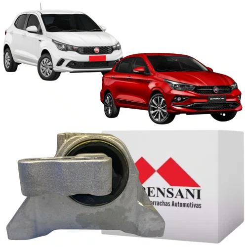 COXIM MOTOR DIREITO