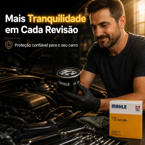 Filtro Óleo Ford Fiesta Ka Ecosport Courier Focus Original