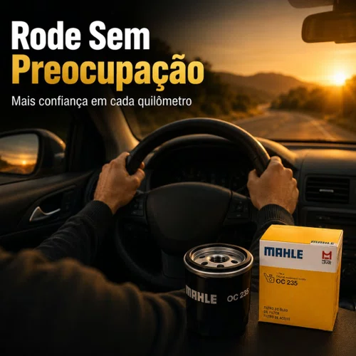 Filtro Óleo Ford Fiesta Ka Ecosport Courier Focus Original