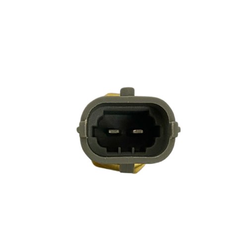 PLUG ELETRONICO