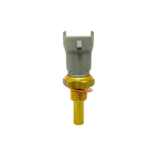 PLUG ELETRONICO