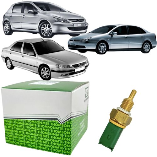 Plug Eletrônico Mte-thomson Para Citroen C5 Peugeot 307 406