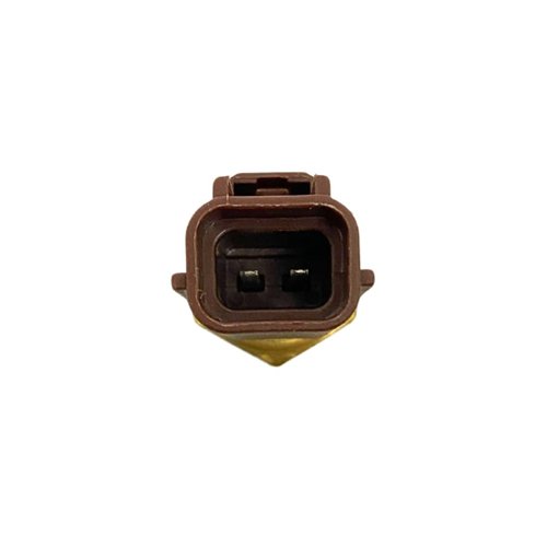 Plug Eletrônico Mte-thonsom Para Ford Ranger 2.3 4.1