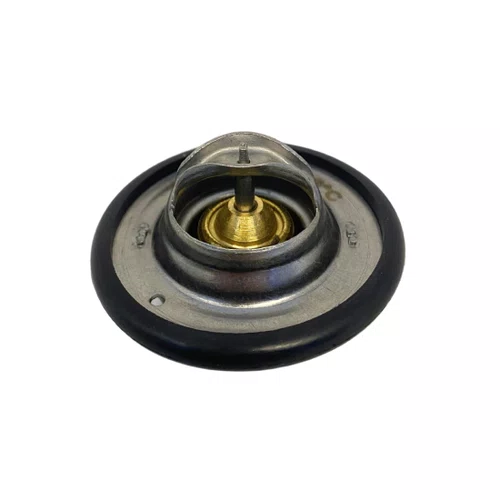 Válvula Termostática Mte-thomson Para Nissan Livina Sentra
