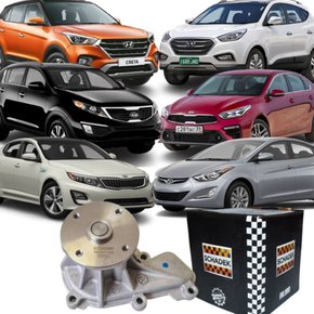 Bomba De Agua Schadek Hyundai Creta Ix35 Elantra Cerato Sportage Optima Motor 2.0 16v