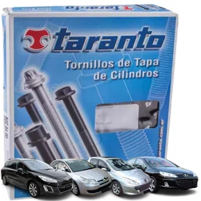 Kit Parafuso De Cabeçote C4 307 308 407 Ew10a 2.0 05 A 15