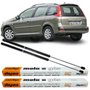 Par Amortecedor Mola Gás Tampa Traseira Peugeot 206 207 Sw Par Amortecedor Mola Gás Tampa Traseira Peugeot 206 207 Sw