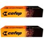Par Amortecedor Traseiro Cofap Sentra 2.0 2007 A 2012