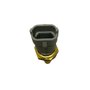PLUG ELETRONICO