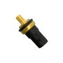 Plug Eletrônico Mte-thomson Para Audi A3 A4 A8 Seat Cordoba