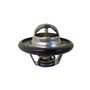 Válvula Termostática Mte-thomson Para Ford Explorer E Ranger